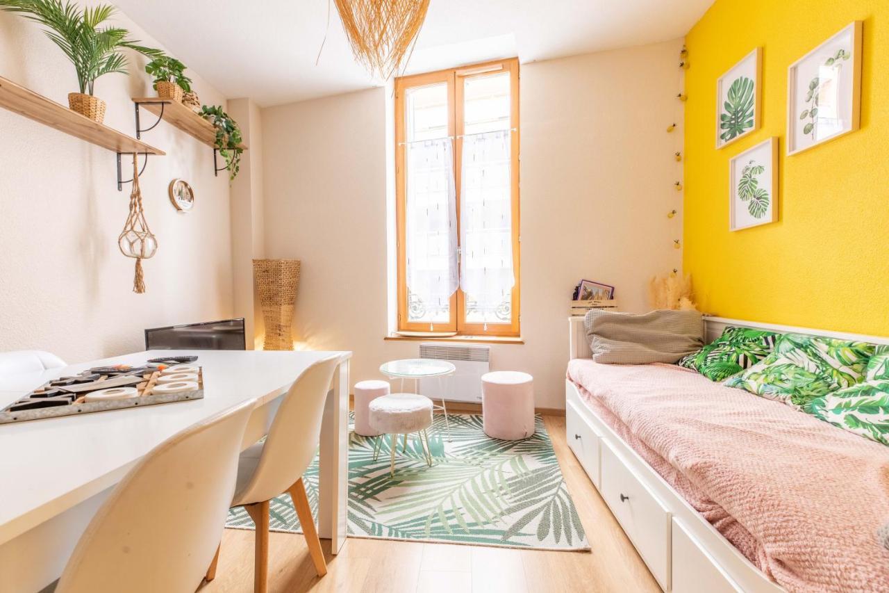 Evasion Centre-Ville 2 A 8 Personnes Clermont-Ferrand Dış mekan fotoğraf