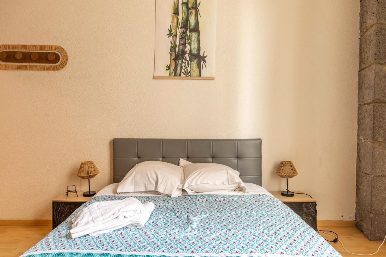 Evasion Centre-Ville 2 A 8 Personnes Clermont-Ferrand Dış mekan fotoğraf